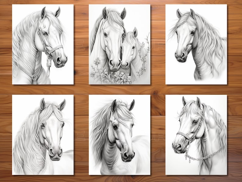 May include: Six black and white pencil drawings of horses. Each drawing features a different horse with a focus on the head and neck. The horses are all facing the viewer.