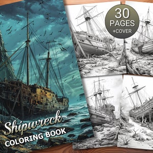 May include: A colouring book with a cover image of a shipwreck. The cover features a large, detailed illustration of a ship that has run aground on a rocky shore. The book is titled "Shipwreck Coloring Book" and has a black and white design. The book has 30 pages plus a cover.