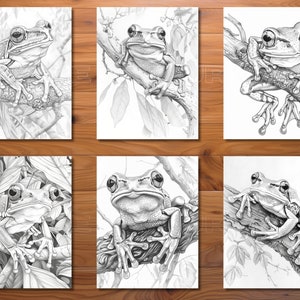 May include: Six black and white pencil drawings of frogs sitting on branches. The frogs are drawn in detail, with their eyes, skin, and limbs clearly visible. The branches are also drawn in detail, with leaves and other foliage surrounding the frogs.
