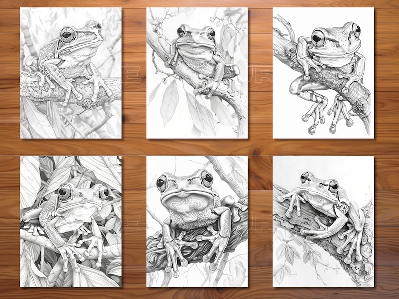 May include: Six black and white pencil drawings of frogs sitting on branches. The frogs are drawn in detail, with their eyes, skin, and limbs clearly visible. The branches are also drawn in detail, with leaves and other foliage surrounding the frogs.