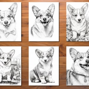 30 Corgi Cuteness Coloring Page Book Adults Kids Instant Download Grayscale Coloring Page Printable PDF image 3