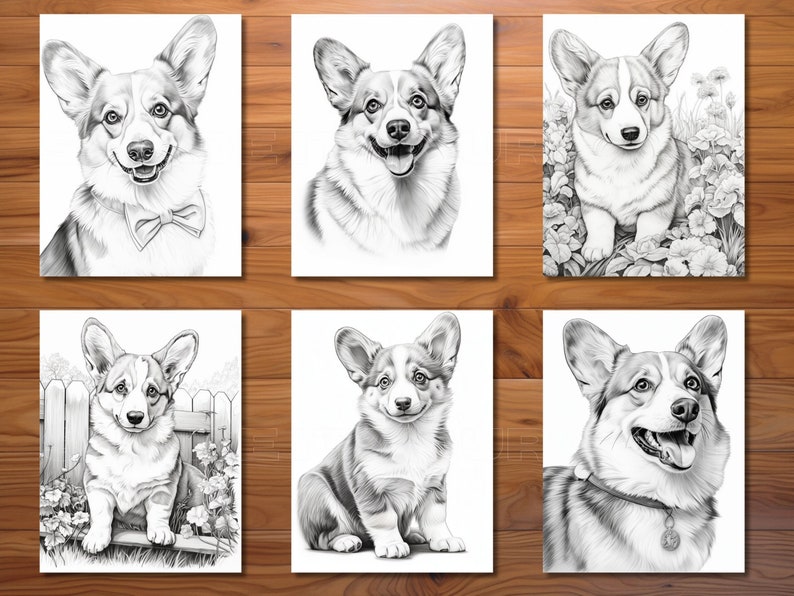 30 Corgi Cuteness Coloring Page Book Adults Kids Instant Download Grayscale Coloring Page Printable PDF image 3