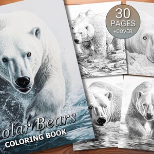 Può includere: Un libro da colorare con un primo piano di un orso polare che emerge dall'acqua. La copertina del libro ha il titolo "Polar Bears Coloring Book" e indica che contiene 30 pagine più una copertina.