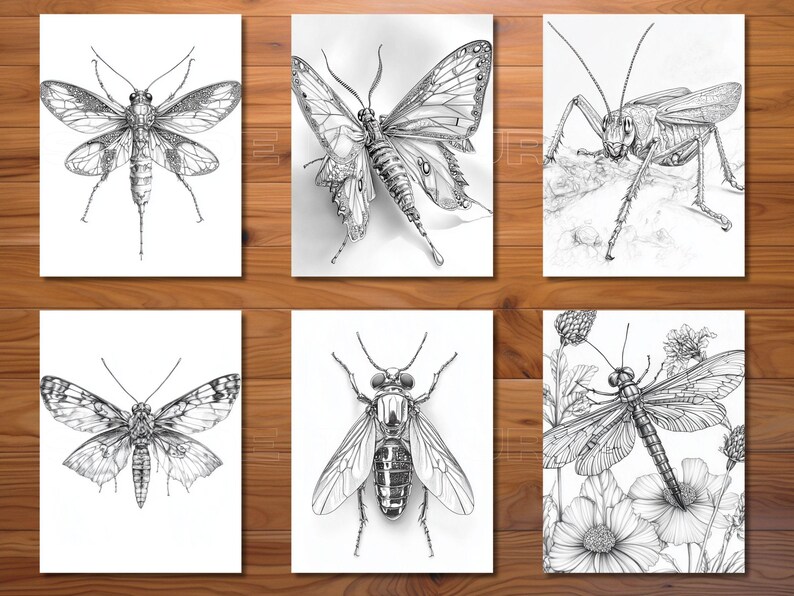 30 Insects Coloring Page Book - Adults + Kids - Instant Download ...