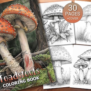 30 Toadstools Coloring Page Book - Adults + Kids - Instant Download - Grayscale Coloring Page - Printable PDF