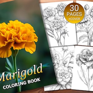30 Marigold Coloring Page Book - Adults + Kids - Instant Download - Grayscale Coloring Page - Printable PDF