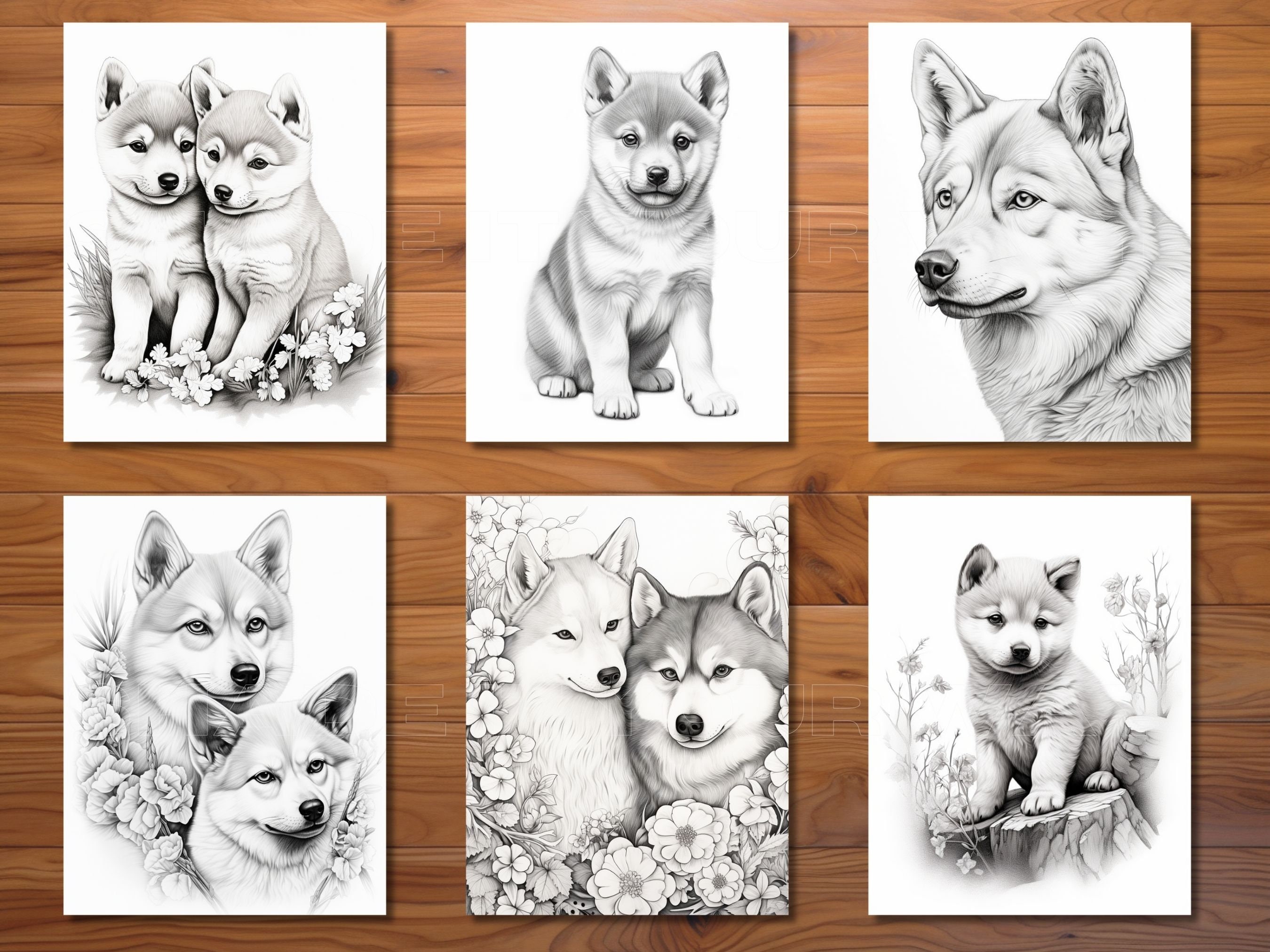30 Shiba Shenanigans Coloring Page Book Adults Kids Instant Download