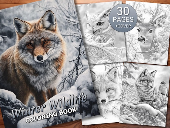 30 Winter Wildlife Coloring Page Book - Adults + Kids - Instant Download - Grayscale Coloring Page - Printable PDF