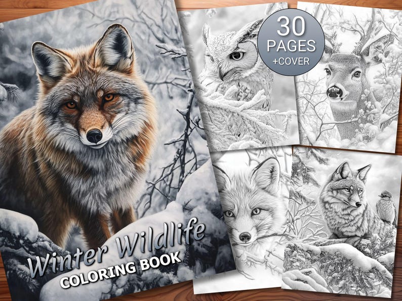 May include: A winter wildlife coloring book featuring a detailed illustration of a fox on the cover. Inside, there are black and white drawings of an owl, deer, and other foxes. The cover reads "Winter Wildlife Coloring Book" with "30 PAGES + COVER" in a circle.