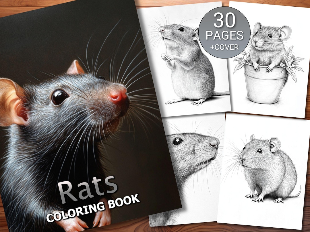30 Rats Coloring Page Book - Adults + Kids - Instant Download ...
