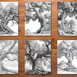 Puede incluir: Seis dibujos en blanco y negro de &aacute;rboles con intrincados detalles de la corteza y las ramas. Los &aacute;rboles est&aacute;n dibujados en un estilo realista y parecen viejos y nudosos.