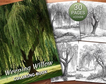 30 Weeping Willow Coloring Page Book - Adults + Kids - Instant Download - Grayscale Coloring Page - Printable PDF