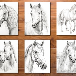 May include: Six black and white pencil drawings of horses. The drawings feature different poses and angles of the horses, including a close-up of a horse's head, a horse standing with its head held high, and a horse with its head lowered.
