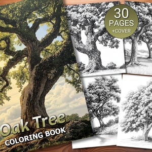 May include: An oak tree coloring book with a detailed illustration of an oak tree on the cover. The book includes 30 pages of tree-themed line art for coloring, with additional grayscale tree illustrations.