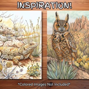 May include: Two watercolor illustrations of desert wildlife. One features a lizard among rocks and plants, the other an owl perched in a desert landscape. The text "INSPIRATION!" is at the top. The text "*Colored Images Not Included*" is at the bottom.