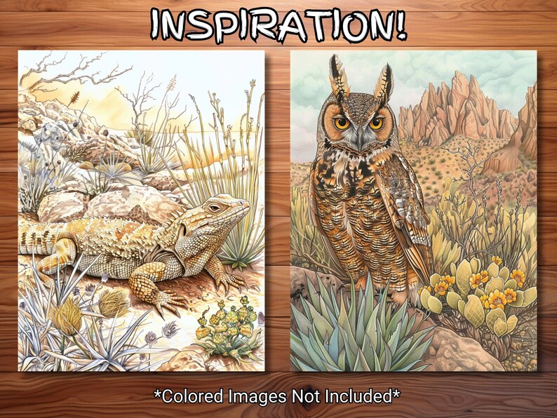 May include: Two watercolor illustrations of desert wildlife. One features a lizard among rocks and plants, the other an owl perched in a desert landscape. The text "INSPIRATION!" is at the top. The text "*Colored Images Not Included*" is at the bottom.