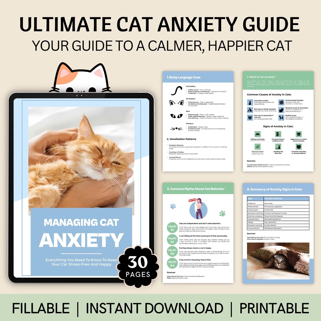 Anxious Cat Owners Stressed Tips
