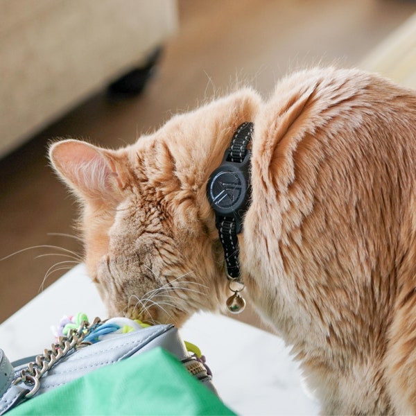 Tile Sticker Holder Cat Tracking Collar - Kitty Kompass