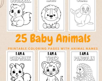 Animal Coloring pages templates, Cute wild animals with names, learn your animals, coloring for kids, kids animal coloring pages