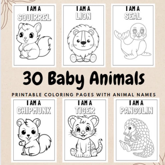 Coloring Animals With Names Zoo Animal Coloring Pages Easy Crafts