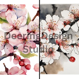 Watercolor Cherry Blossoms 14 images, 8.5&quot;x11&quot;  in PNG format for personal or commercial use