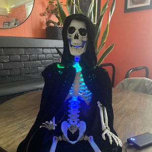 Portable Animatronic Skeleton , Custom Shoulder Riding Skelly , Multiple customizations , built to run off a usb power bank.