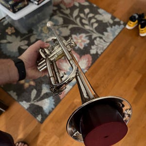 Trumpet Practice Mutes