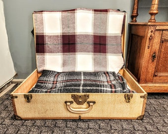 Old Vintage Suit Case, Vintage Luggage