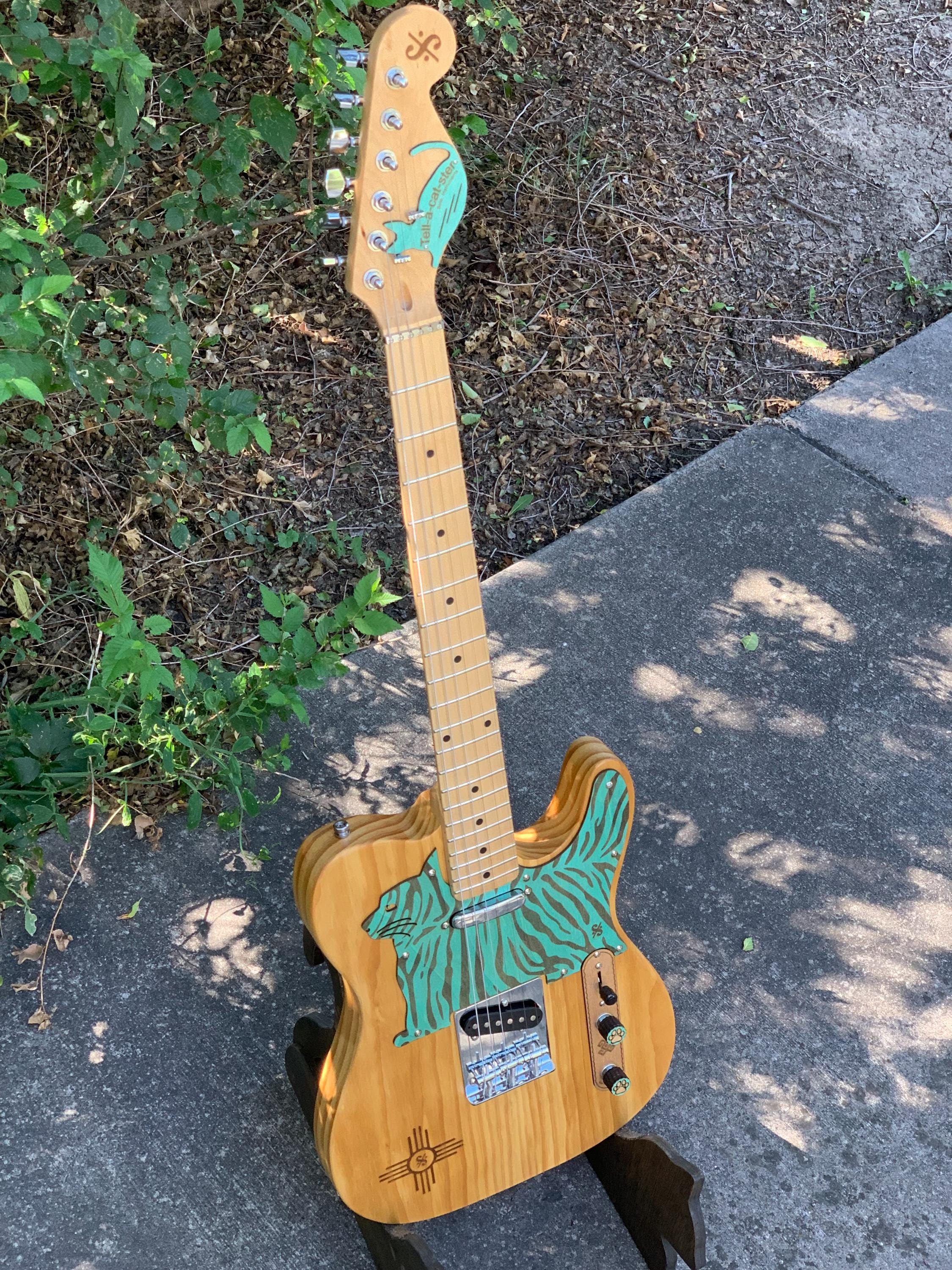 Guitar cat The 