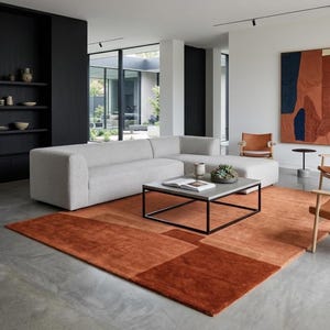 Modern living room scene, terracotta modern wool area rug under coffee table, mid century accents