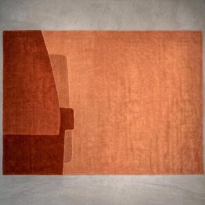 Overhead view terracotta modern wool area rug, abstract block design, plush pile with carved edges