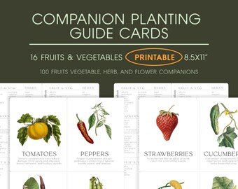Tarjetas imprimibles con guía de siembra complementaria, planificador de jardín orgánico imprimible