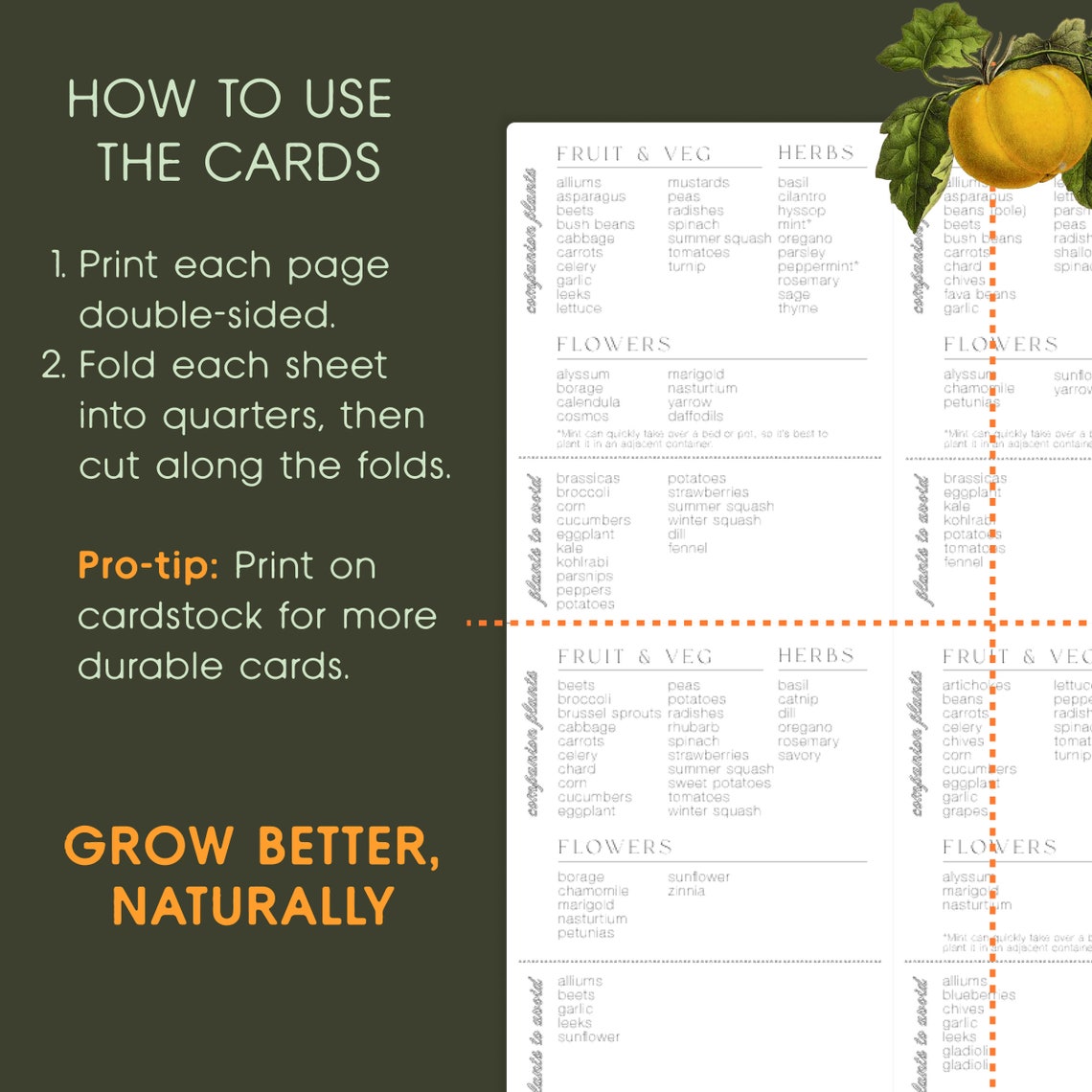 Companion Planting Guide Printable Cards, Organic Garden Planner ...