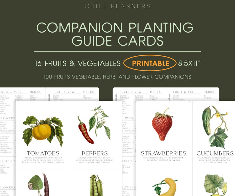 Companion Planting Guide Printable Cards, Organic Garden Planner ...