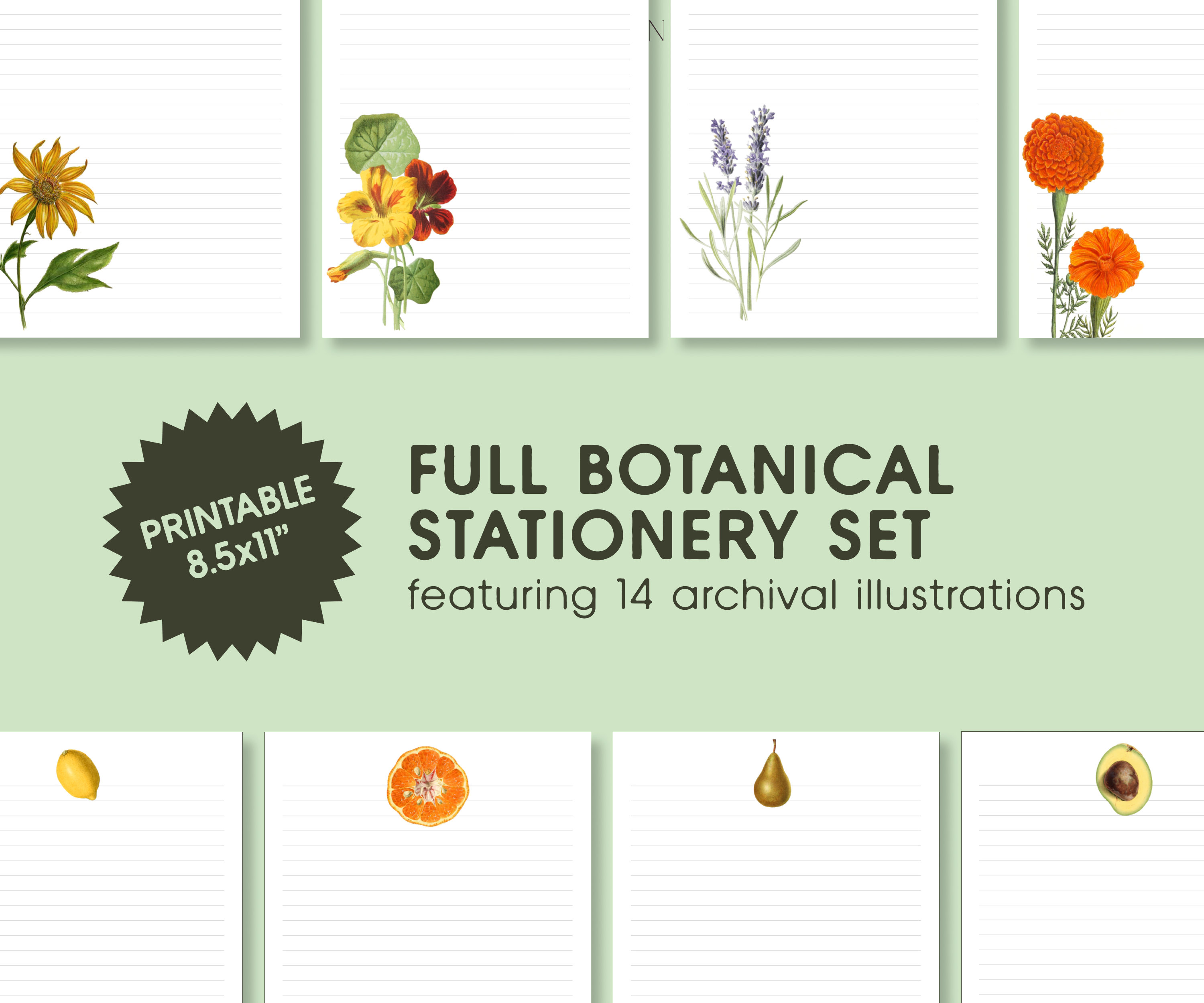 printable-botanical-stationery-set-vintage-floral-illustrations-pdf