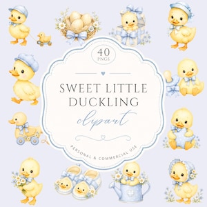 Sweet Little Duckling Watercolor Clipart Set, Blue Baby Duck PNGs for Baby Shower, Nursery Art Decor, Invitation Graphics, Commercial Use