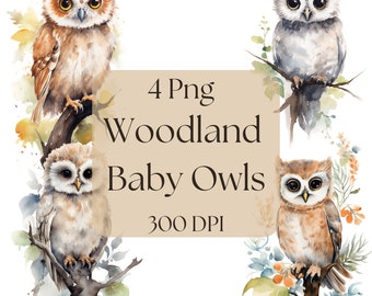 Watercolor Woodland Baby Owls Bundle 4 Png 300 DPI Nursery Child Room Journal POD Digital Download