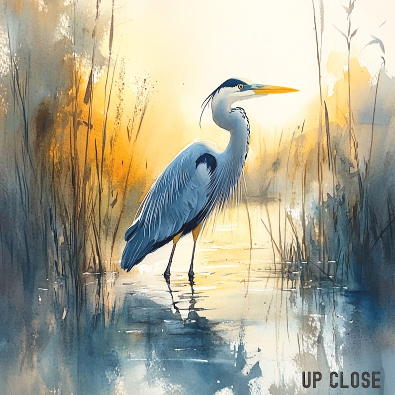 May include: A watercolor painting of a blue heron standing in a shallow body of water with tall reeds in the background. The heron has a long, thin neck and a long, pointed beak. The water is a light blue color and the reeds are a light brown color.
