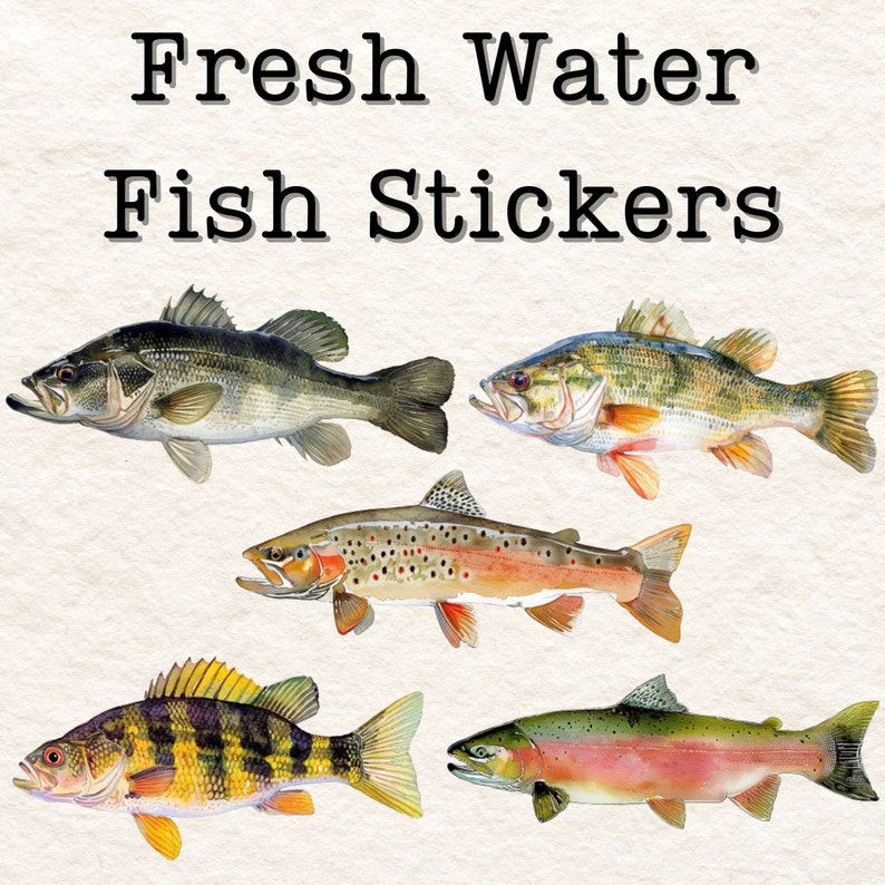 May include: Five different types of freshwater fish stickers. The stickers feature a largemouth bass, a smallmouth bass, a brown trout, a largemouth bass, and a rainbow trout. The stickers are all in a watercolour style and are perfect for adding a touch of nature to your belongings.