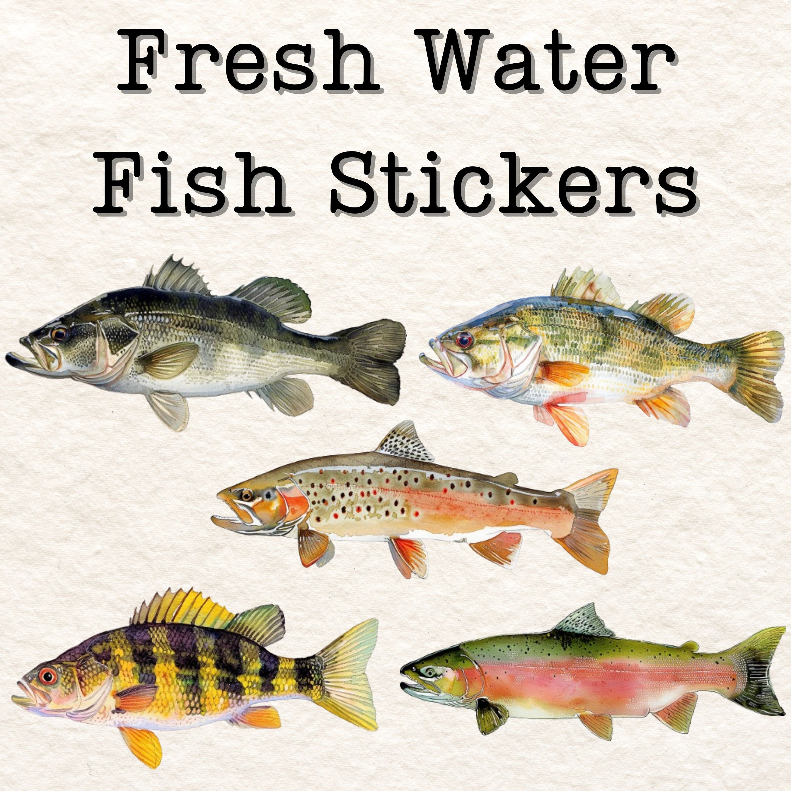 Freshwater Fish Vinyl Stickers, Weatherproof Stickers, Bright Colored ...