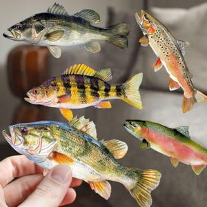 May include: Five different types of fish, including a largemouth bass, a smallmouth bass, a rainbow trout, a brown trout, and a yellow perch. The fish are all painted in a realistic style and are arranged in a random order.