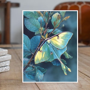 Luna Moth Art Print, Mystical Night Garden, Handmade Watercolor Card