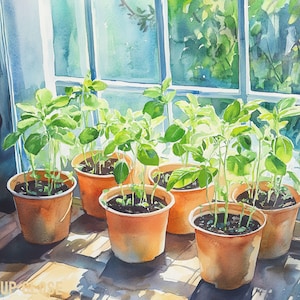Windowsill Garden – Sunlit Seedlings Art Print, Original Art