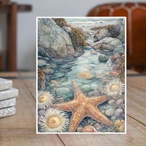 May include: A watercolor painting of a starfish on a bed of rocks in a tide pool. The starfish is orange and brown with a light blue background. There are white anemones and other sea life in the tide pool.