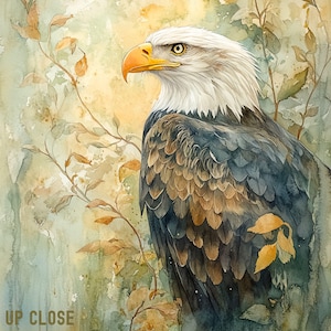 Watercolor American Eagle Wall Art, Bald Eagle Painting, Rustic Patriotic Wildlife Decor, High Quality Art Print, Original Art