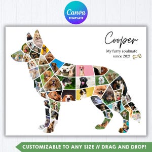 Puede incluir: Una plantilla de collage de fotos con forma de perro que presenta numerosas imágenes pequeñas de varios perros dispuestas para formar la silueta de un pastor alemán. El texto dice Cooper, My furry soulmate since 2021, con un icono de hueso.