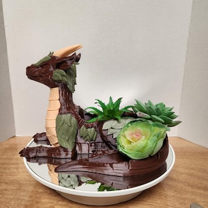 Puede incluir: Una maceta con forma de dragón marrón con detalles de hojas verdes y vientre beige. La maceta contiene varias suculentas verdes y se asienta sobre una superficie espejada dentro de un plato con borde blanco. El dragón tiene un cuello largo y un cuerno curvado.