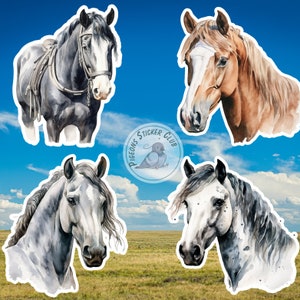 Horses Heads Sticker Vinyl Decals Laptop Water bottle Journal Car Funny Cute Cartoon Watercolor Gift