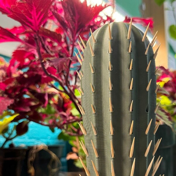 3D-Printed Cactus Toothpick Holder | Support West Philly High School Students | Make Workshop Green