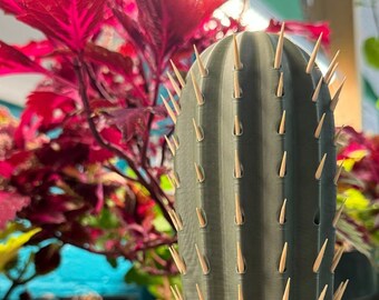 3D-Printed Cactus Toothpick Holder | Support West Philly High School Students | Make Workshop Green